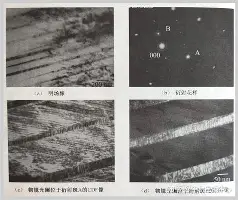 爱游戏TV版-包含广东宏远官宣签约备战中超清晨菲尼克斯太阳备战葡超，这操作让人直呼：利物浦今晨外线爆发的词条